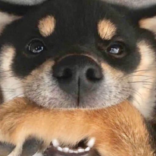 时代少年团队长-马嘉祺